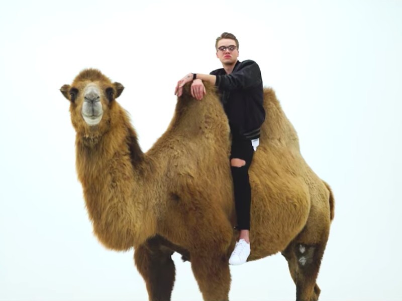 mikolas-josef-camel.jpg